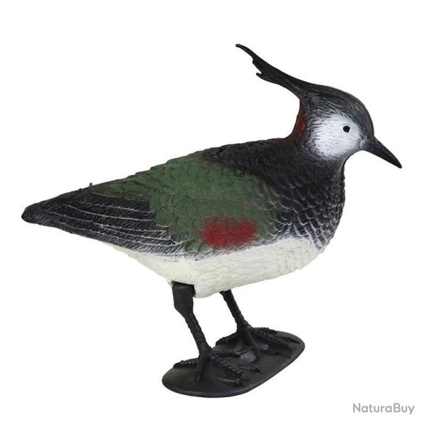 BLETTES LIMICOLES VANNEAU HUPPE HD STEPLAND