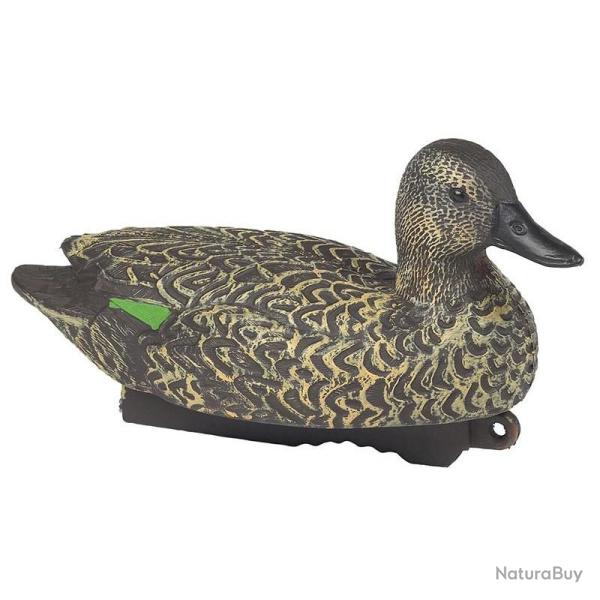 BLETTES SARCELLE MLE OU FEMELLE HD STEPLAND FEMELLE