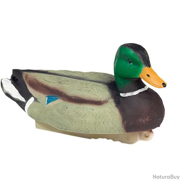 BLETTES COLVERT MLE OU FEMELLE HD STEPLAND MLE