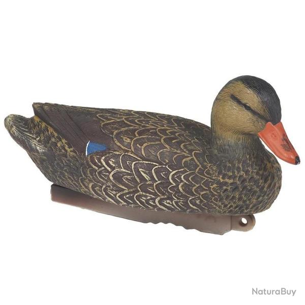 BLETTES COLVERT MLE OU FEMELLE HD STEPLAND FEMELLE