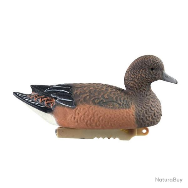 BLETTES SIFFLEUR MLE OU FEMELLE HD STEPLAND FEMELLE