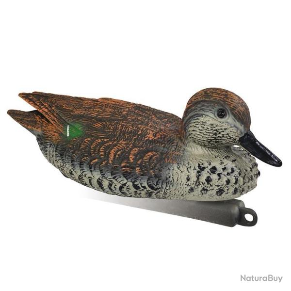 BLETTES SARCELLE MLE OU FEMELLE MOUSSEES STEPLAND FEMELLE