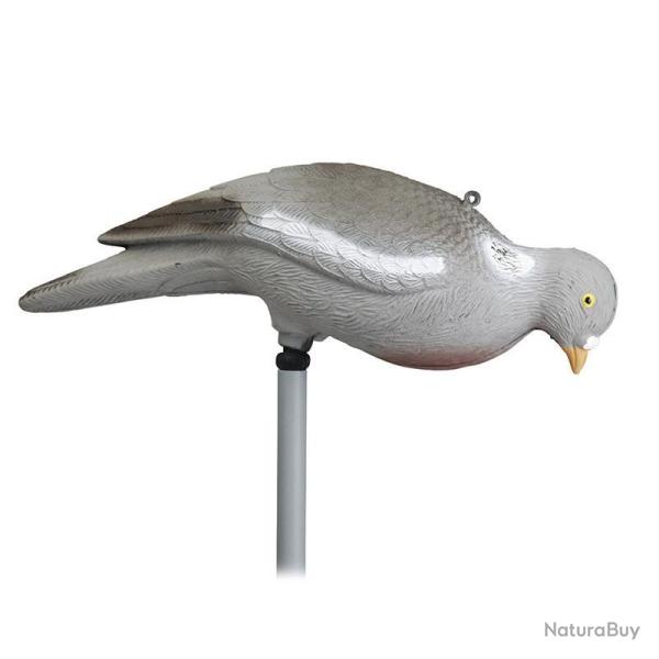 FORMES PIGEON PICOREUR SANS PATTE STEPLAND