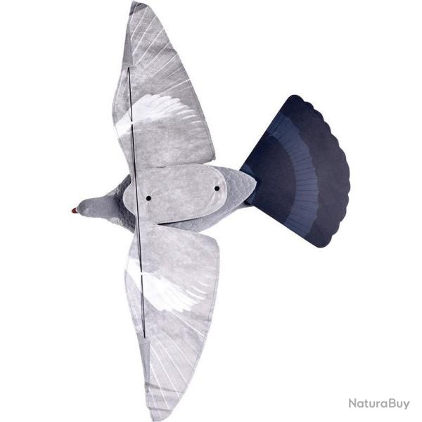 FORMES PIGEON STEP FLAP STEPLAND