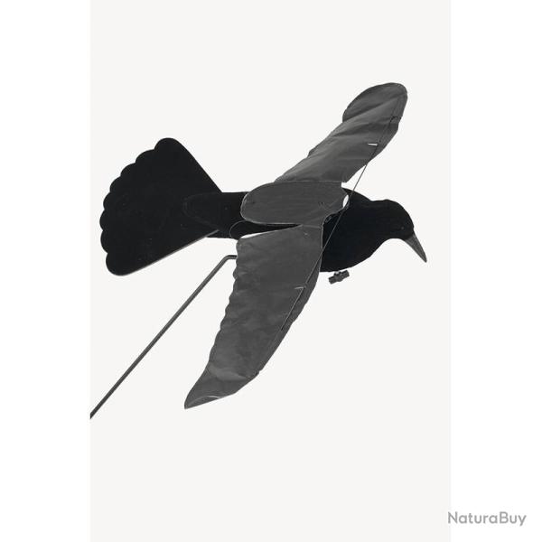 FORMES CORBEAUX STEP FLAP STEPLAND