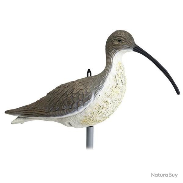 BLETTES COURLIS CENDRE STEPLAND