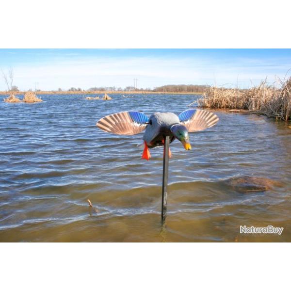 Colvert � ailes tournantes Mojo Elite Series Mini Mallard Drake