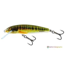 Poisson Nageur Salmo Minnow Flottant 6cm 6cm 4g HRM - Holo Real Minnow