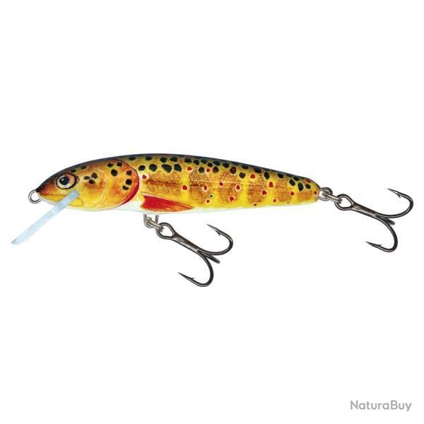 Poisson Nageur Salmo Minnow Flottant 6cm 6cm 4g Olive Bleak