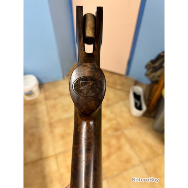 Crosse Zoli Ambassador