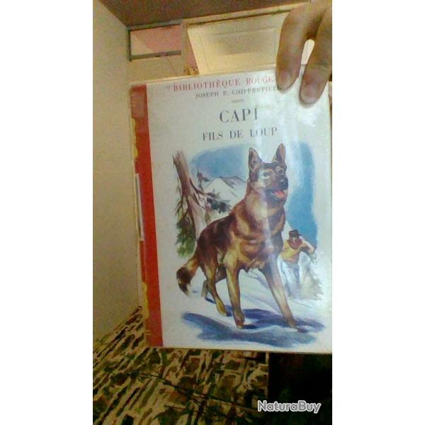 Capi fils de loup par Joseph E. Chipperfield - Bibliothque rouge et or -
