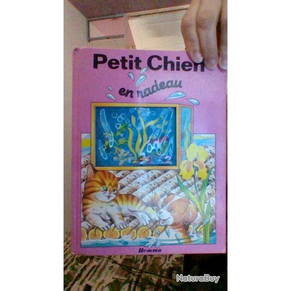 Petit chien en radeau - Hemma -