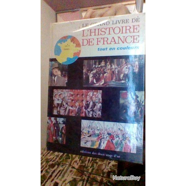 Le grand livre de l'histoire de France tout en couleurs.