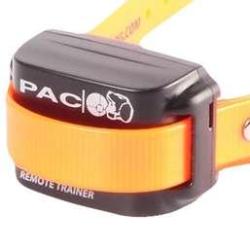 Pacdog collier suppl dressage PAC EXC7 Jaune