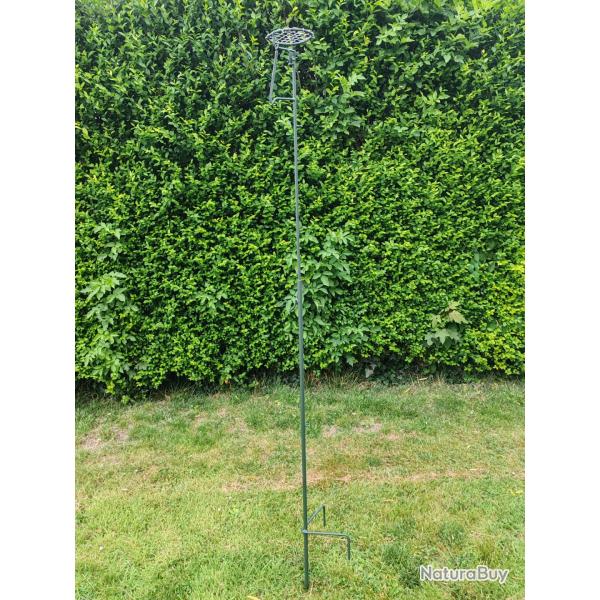 Glaneur tournesol/mas