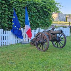 Cannon  tir P&eacute;tards tr&egrave;s bruyants Incroyablement s&ucirc;r et facile &agrave; charger