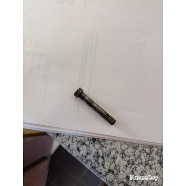 Vis longue de pontet Berthier
