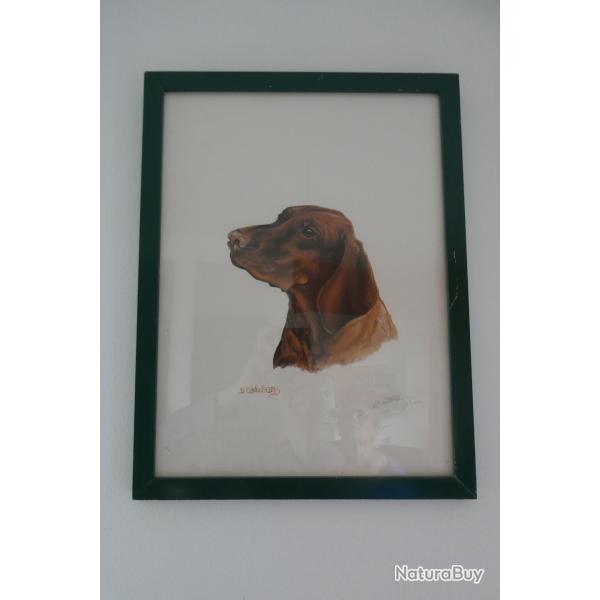 ESTAMPE en couleur de D CONTINSOUZAS