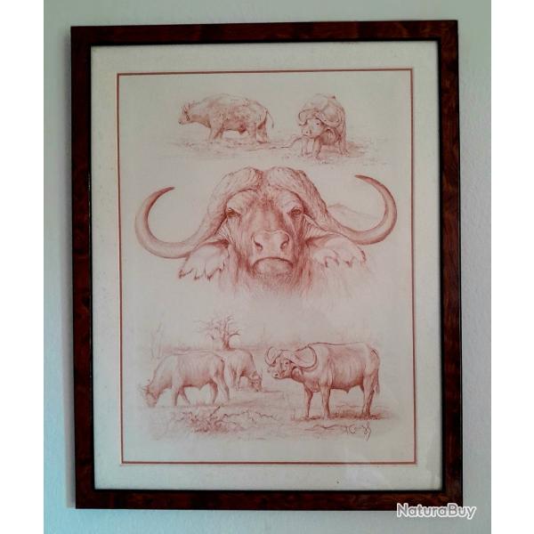 Sanguine originale de Pierre Couzy