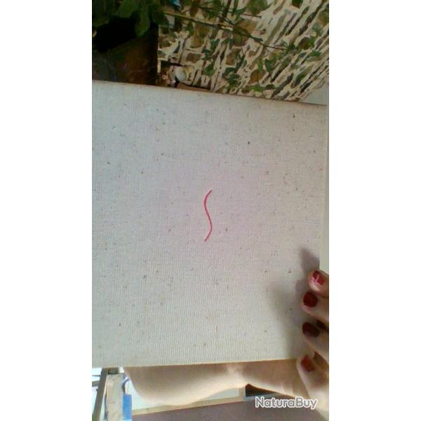 Chardin par Albert Skira -