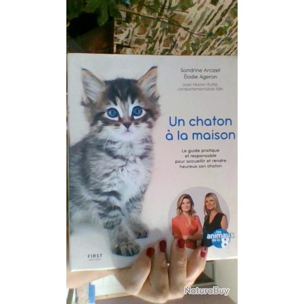 Un chaton a la maison par Sandrine Arcizet et Elodie Ageron - First Editions -