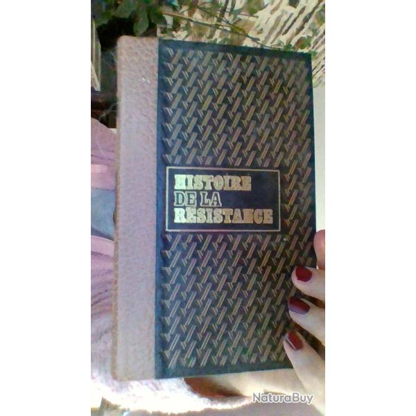 Rebels soldats et citoyens par Yves Farge - Histoire de la rsistance - Editions Famot -