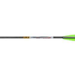 Fl&egrave;che FX Verminator MKII 20" Gold Tip
