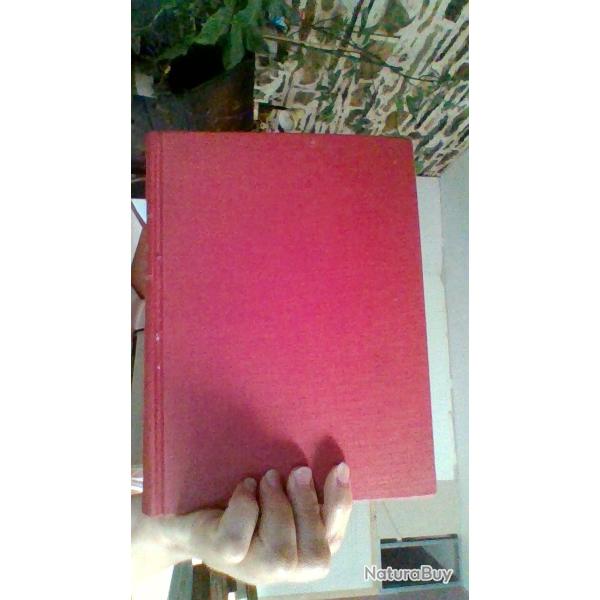 La valle de la loire de Gien a Saint - Florent par Jacques Levron -