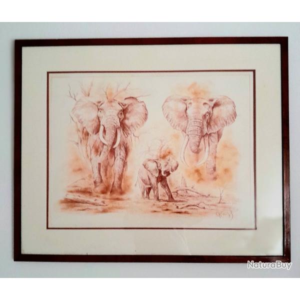 Sanguine originale de Pierre Couzy, encadr�e et sign�e