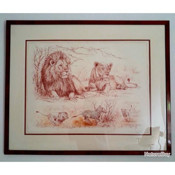 "fiert� de lions" Sanguine originale de Pierre Couzy, encadr�e et sign�e