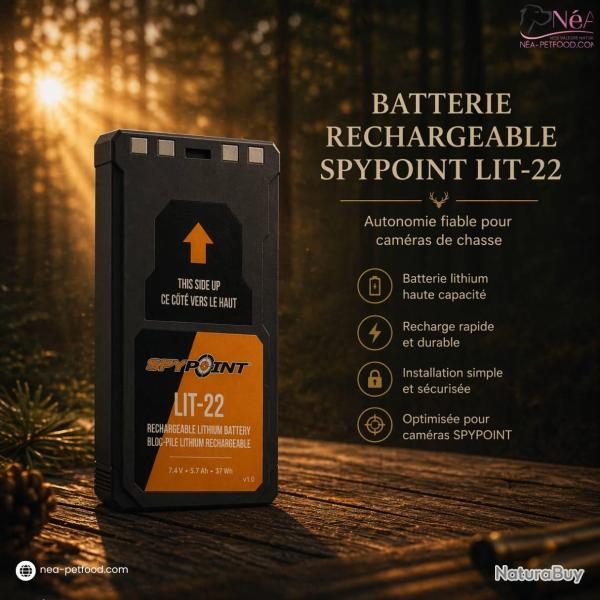 BATTERIE LIT-22 SPYPOINT FLEX 