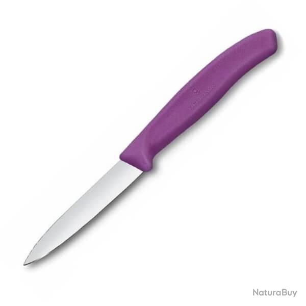 6.7605.C1 Couteau d'office Victorinox Swiss Classic violet 8cm/bote de 20