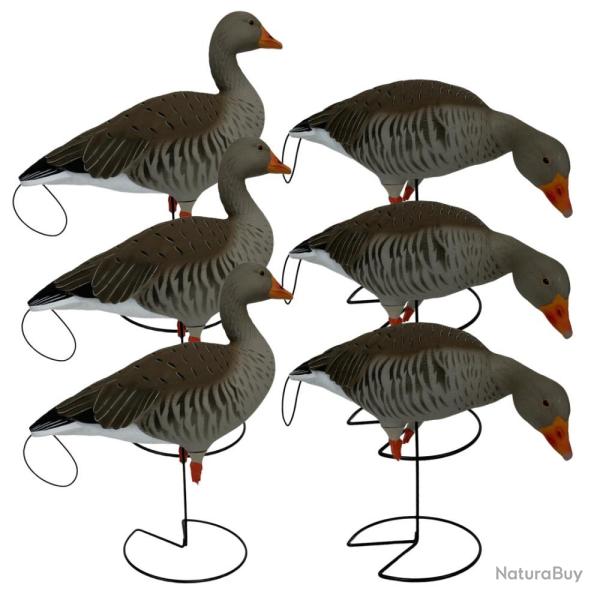 APPELANTS OIES CENDREES Pro Grade SUR PIED X6