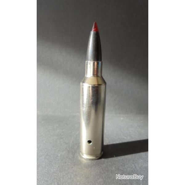 UNE BELLE CARTOUCHE cal. 300 WSM ETUIS NICKELE BALLE XP3 NEUTRALISEE