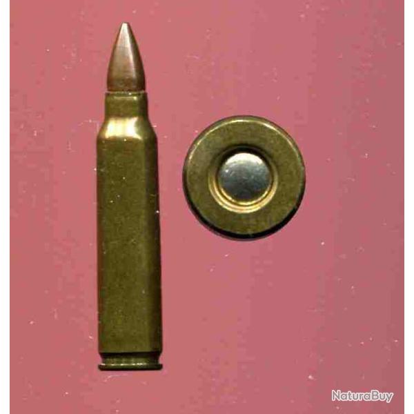 .224 WINCHESTER E2 EXPERIMENTAL USA - �tui laiton de 43.1 mm - courte balle cuivre poitue