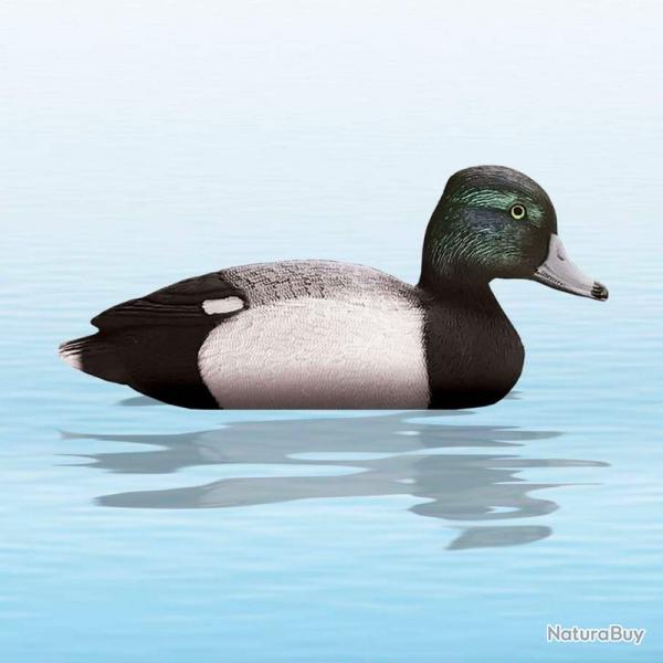 APPELANT CANARD MORILLON M�LE SPORT PLAST