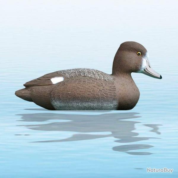 APPELANT CANARD MORILLON FEMELLE SPORT PLAST