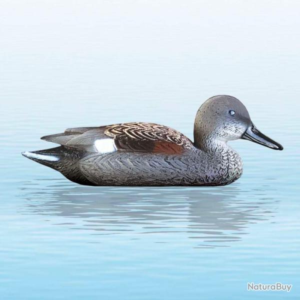 APPELANT CANARD CHIPEAU M�LE SPORT PLAST