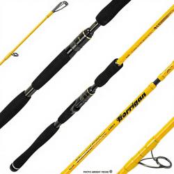 Canne spinning ILLEX Ashura Element rider X5 S 230 H Korrigan d&eacute;mo
