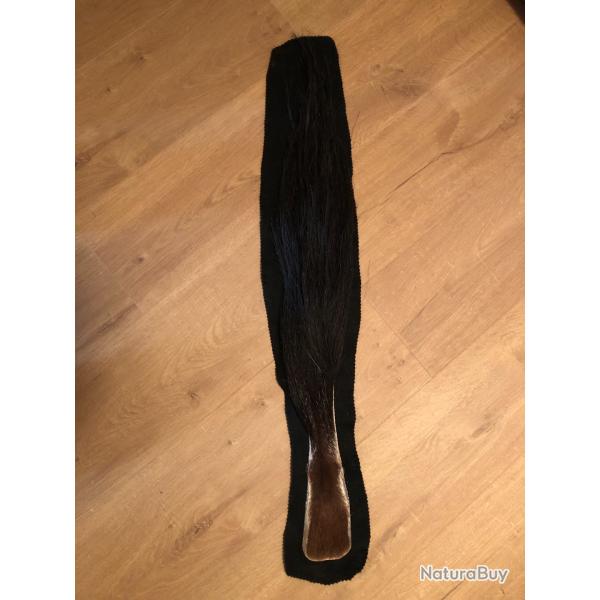 QUEUE D' ORYX GAZELLA