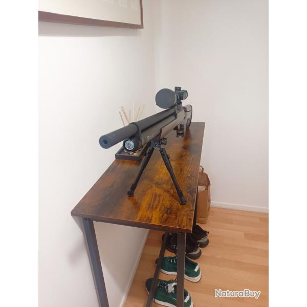 vends carabine EFFECTO PX5 SPORT