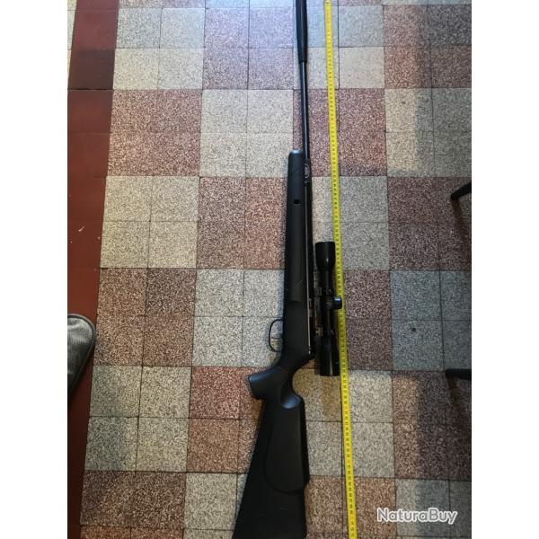 Carabine air comprim�