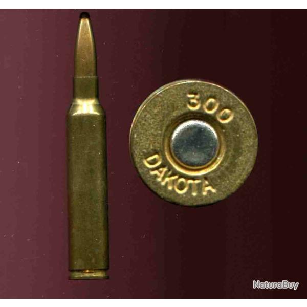 .300 DAKOTA