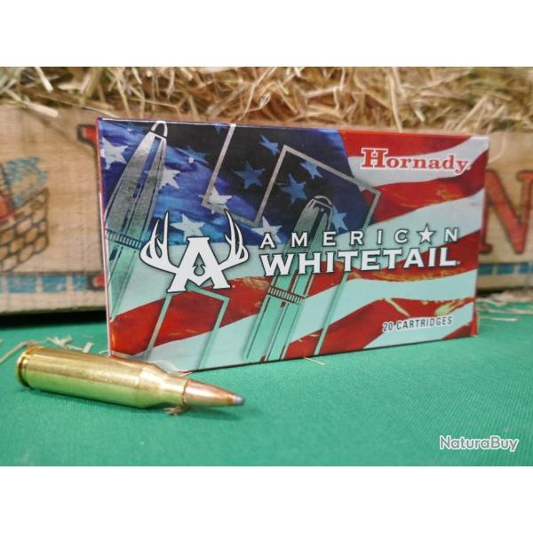 20 cartouches en 243 WIN 100gr INTERLOCKde chez HORNADY