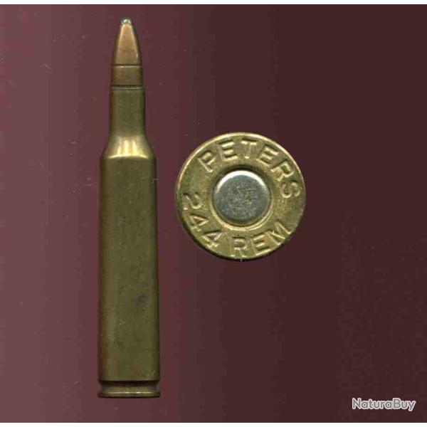 .244 Remington - PETERS - balle cuivre pointe plomb - tui laion de 56.5 mm de long