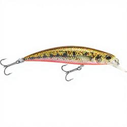 Poisson nageur DUO Spearhead ryuki 80 S ACC4061 Spawn goujon