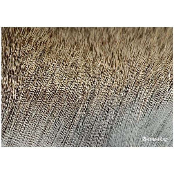 Daim souple Gris 30