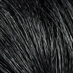 Daim belly hair noir 100