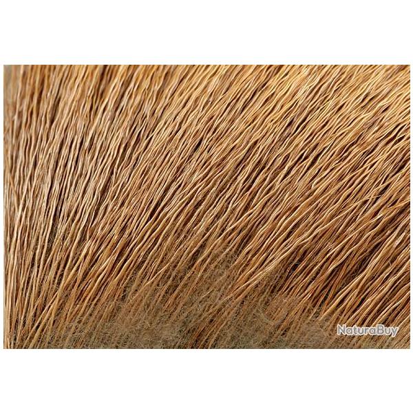 Elan golden brown 50