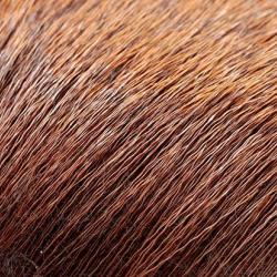 Elan marron 47
